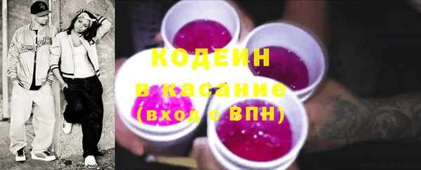 индика Беломорск