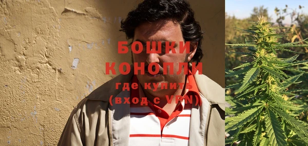 индика Беломорск