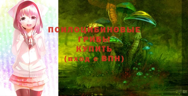 круглые Белокуриха