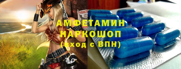 индика Беломорск