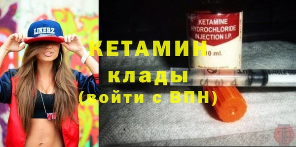 индика Беломорск