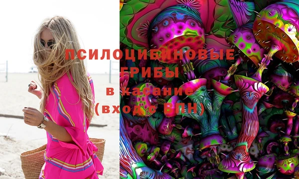 круглые Белокуриха