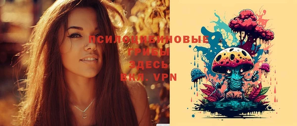 круглые Белокуриха