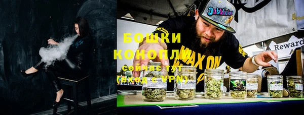 индика Беломорск