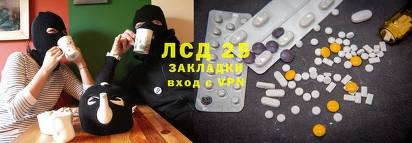 индика Беломорск