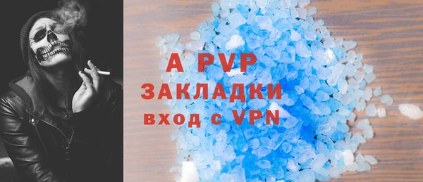 круглые Белокуриха