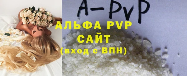 индика Беломорск